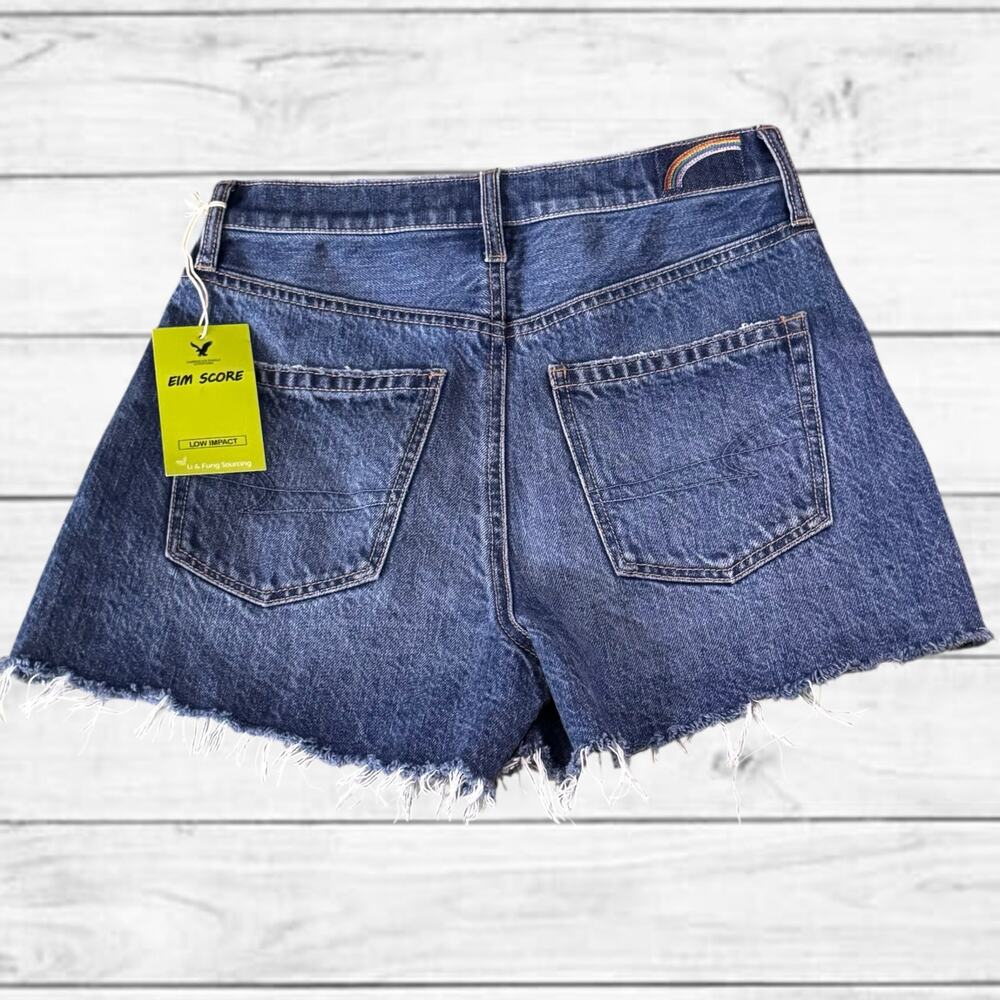 84. NEW American Eagle Limited Edition Pride Rainbow Denim Shorts SZ:4 - Picture 2 of 8